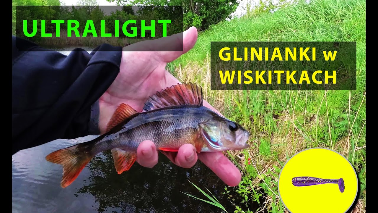 LIPAR -  ULTRALIGHT  Stawy w Wiskitkach
