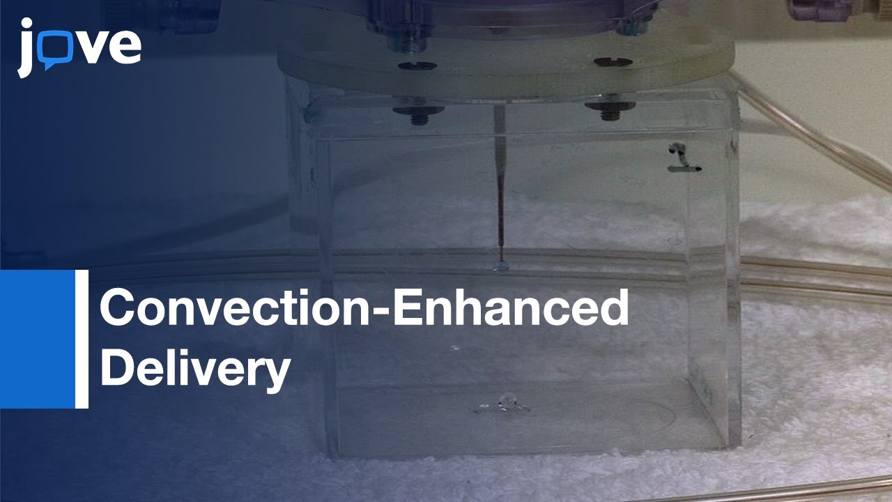 Image-Guided Convection-Enhanced Delivery: Agarose Gel Models:Brain-Preview