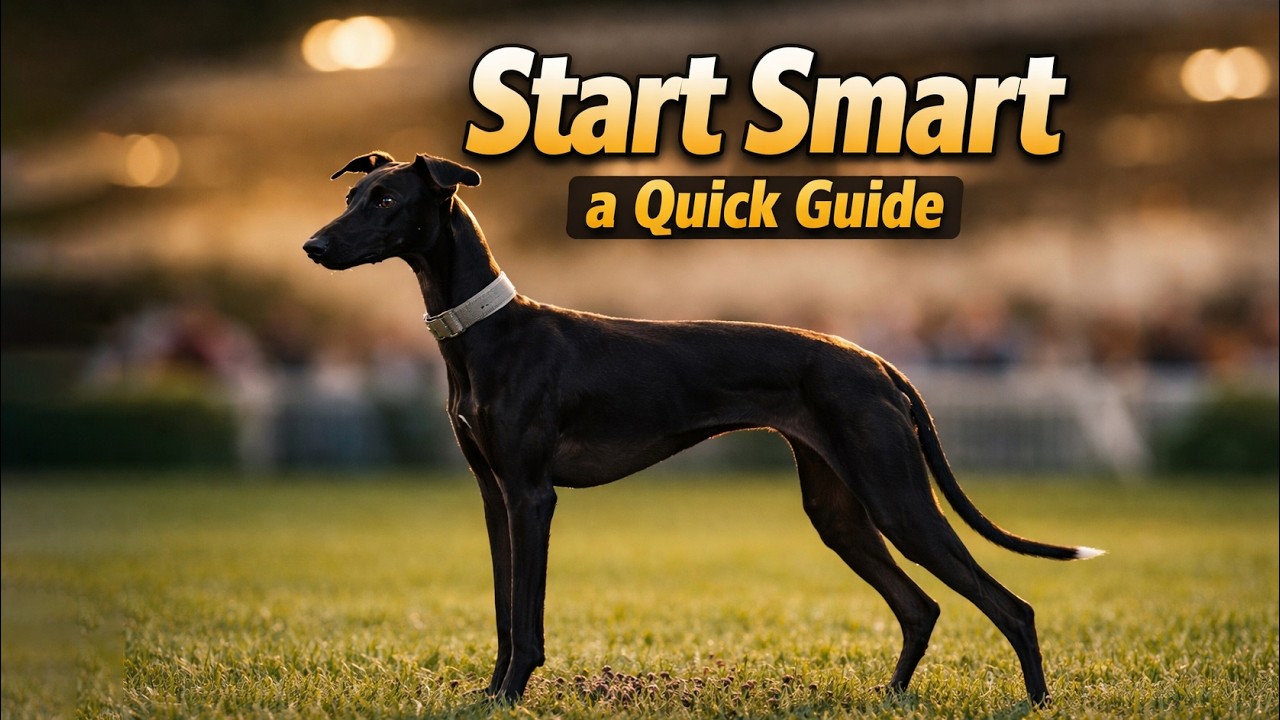 The Truth About Greyhounds: Calm, Sensitive&hellip; and Faster Than You Think