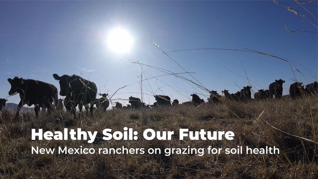 Healthy Soil: Our Future –New Mexico Ranchers on Grazing for Soil Health