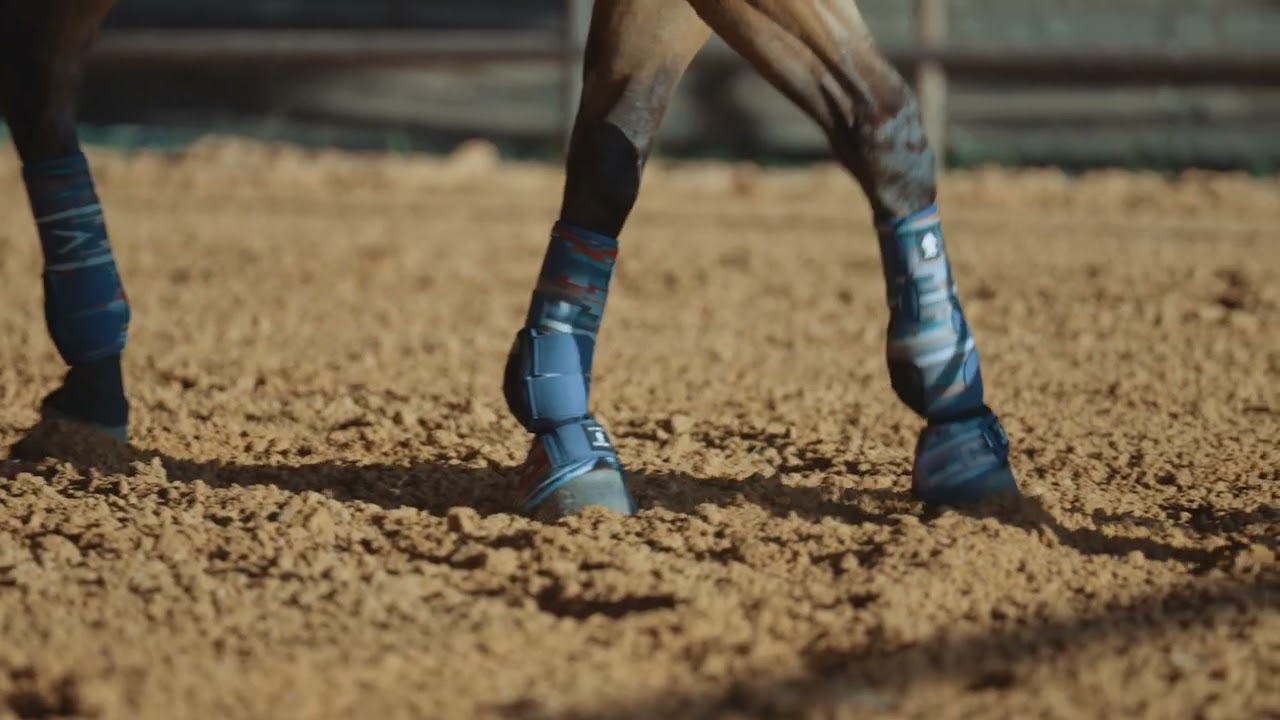 Classic Equine Legacy2 Support Boots, Pueblo