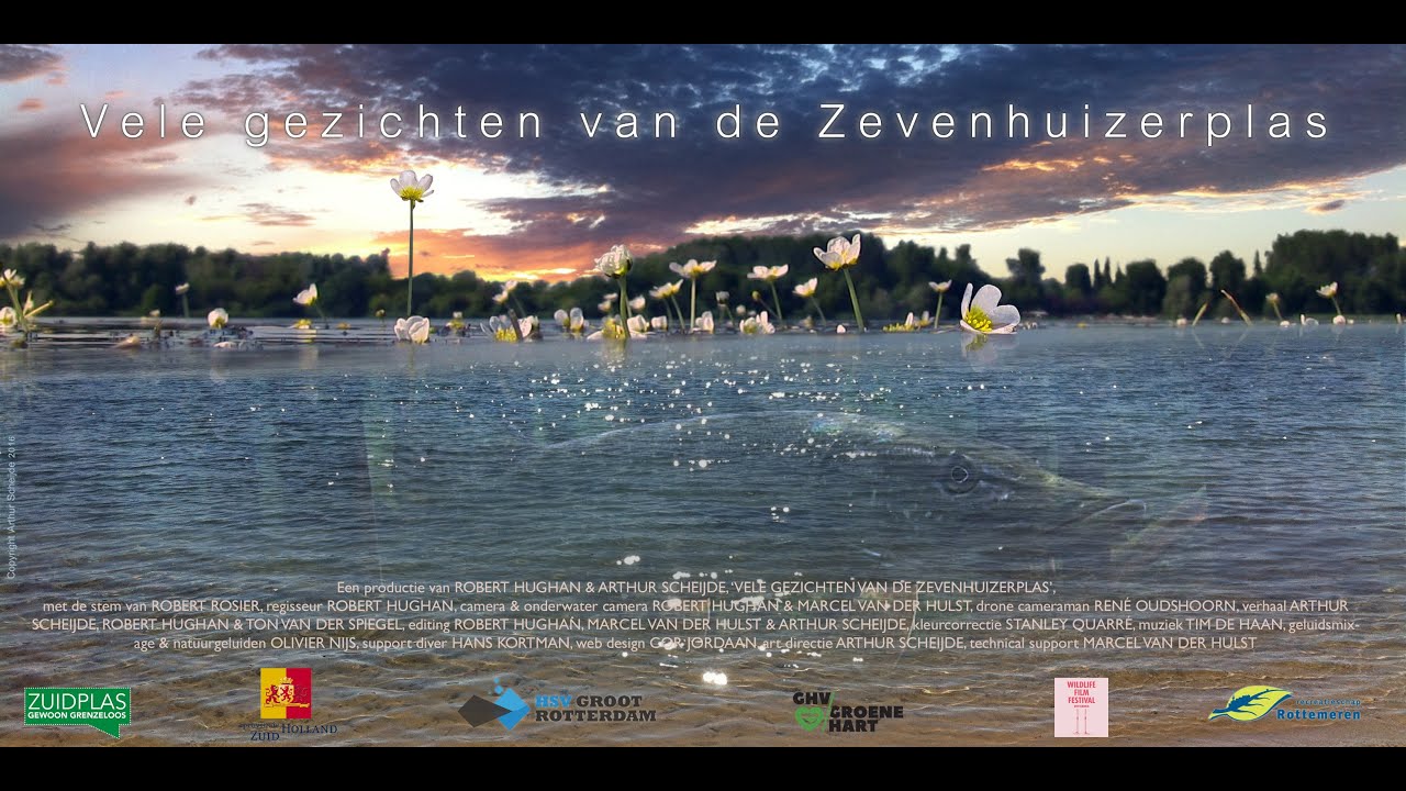 Vele gezichten van de Zevenhuizerplas (47 min)