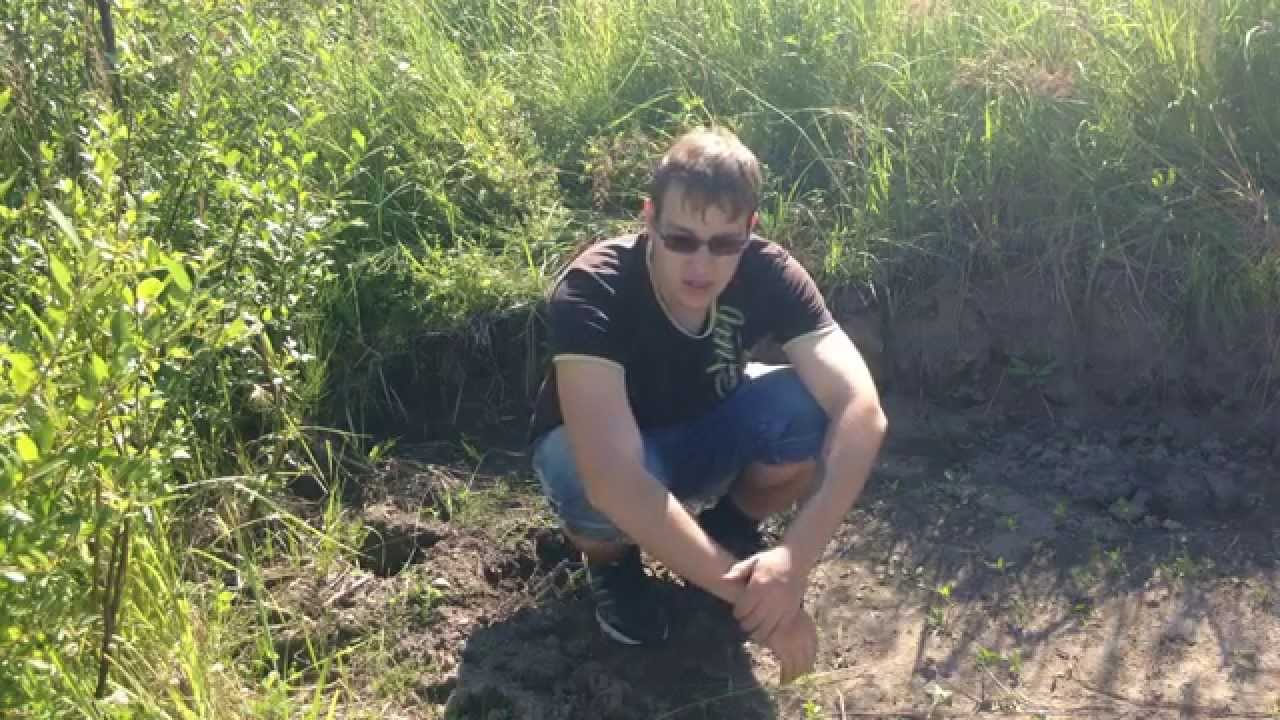 Aka Сигнум 7272 MFT против железа.