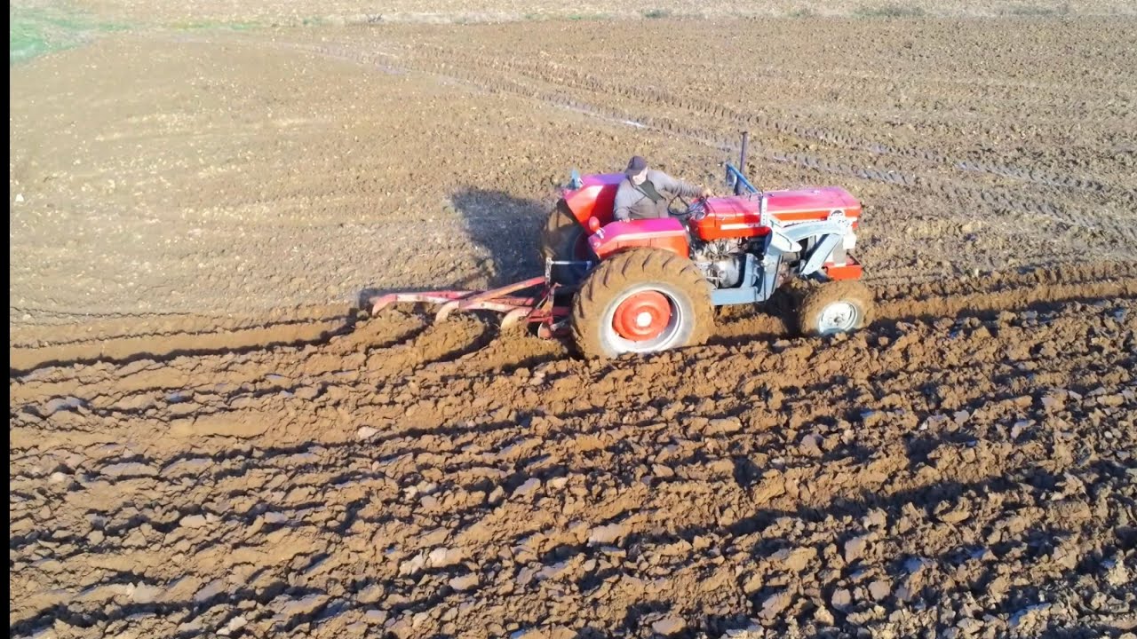 Labour à l’ancienne Massey Ferguson 165 avec une charrue trisoc Ferguson