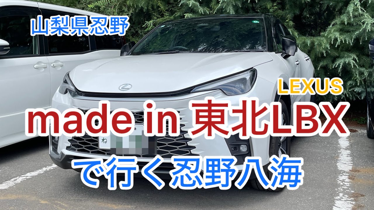 山梨県忍野八海にLBXでドライブしながら、吉田うどんを食べてきました。