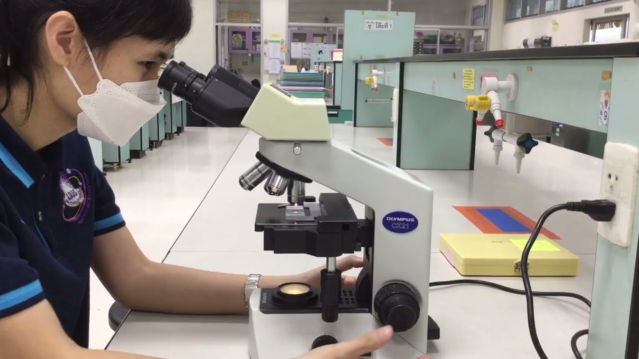 การใช้กล้องจุลทรรศน์ชนิดใช้แสง แบบเลนส์ประกอบ (Compound light microscope)