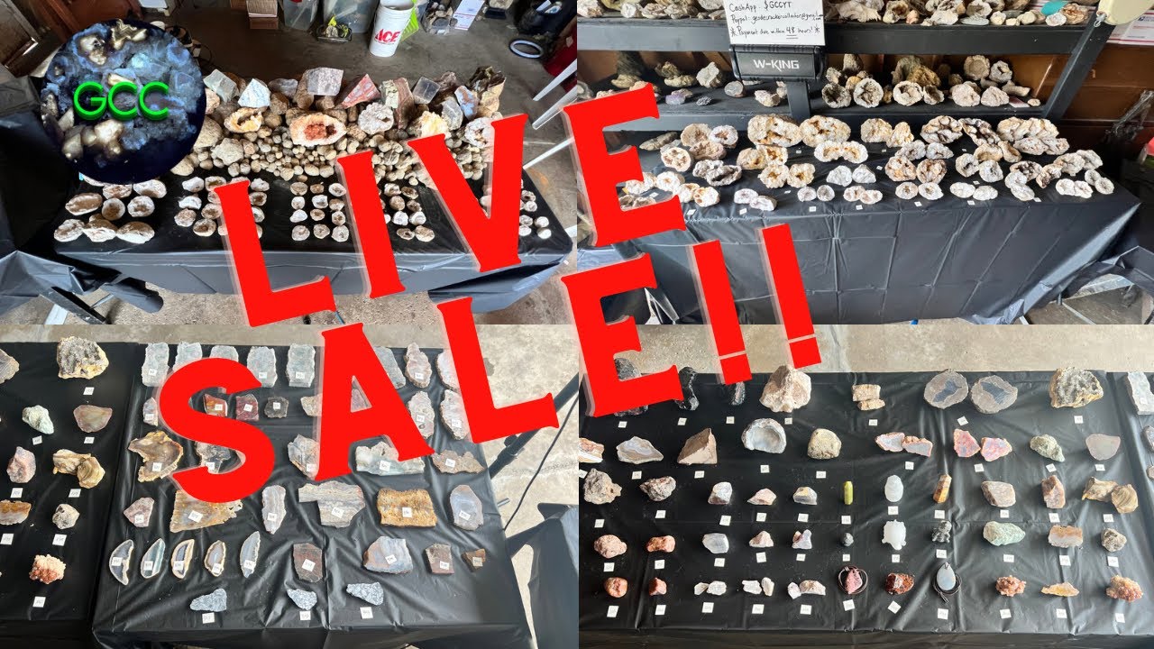 LIVE SALE!