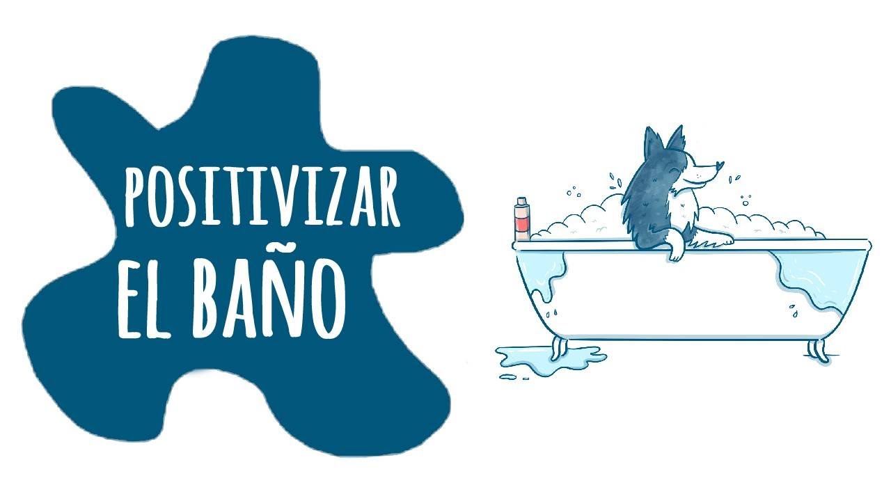 Cómo BAÑAR a tu perro para que sea POSITIVO y AGRADABLE