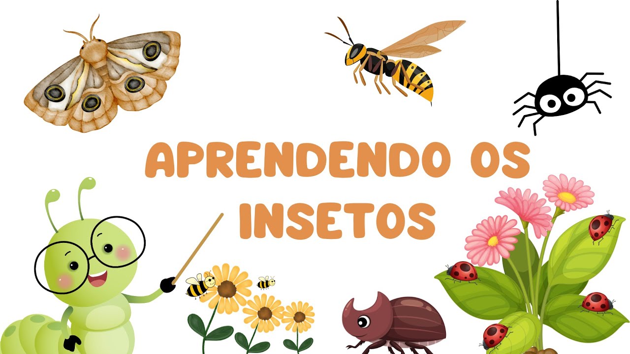 Vamos descobrir e aprender os insetos | Educa&ccedil;&atilde;o Infantil Divertida