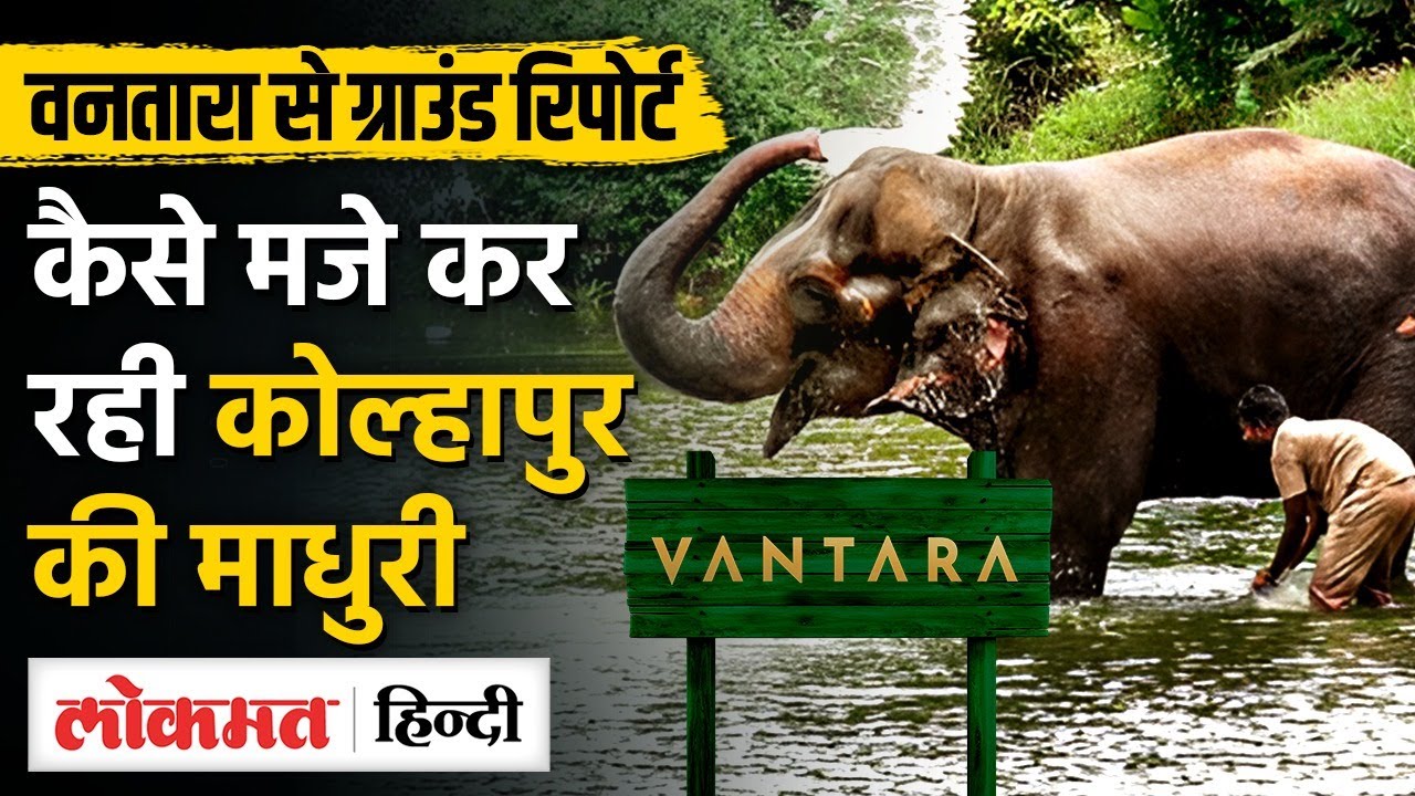 Vantara में कैसे रह रही है Kolhapur के Nandani village की Madhuri Elephant -MS2