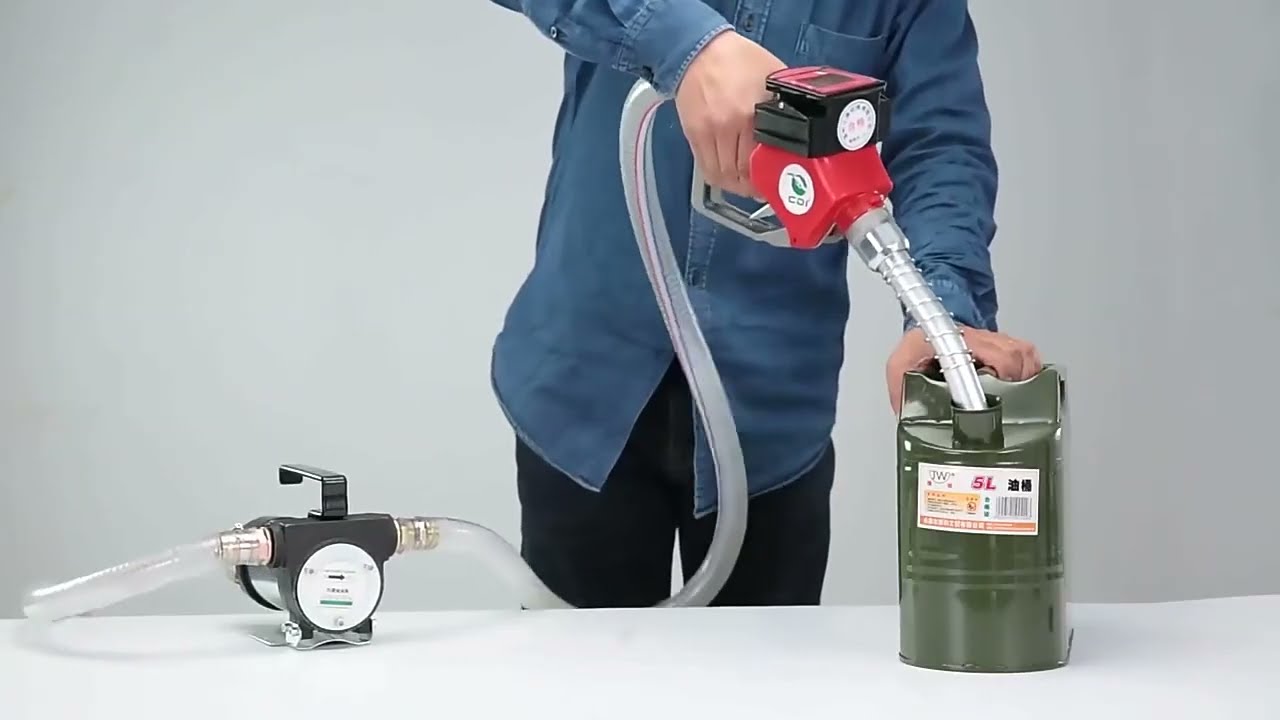 220V Electric DC 12V/24V Oil Pump Self Priming For Diesel Kerosene Transfer Fuel Oil Well Water Pum