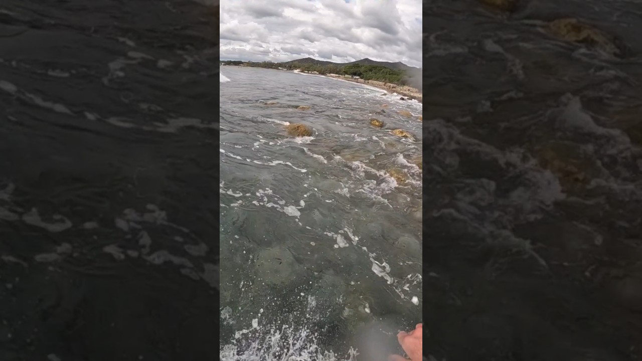 surf shallow reef ever!! #povsurf #shorts