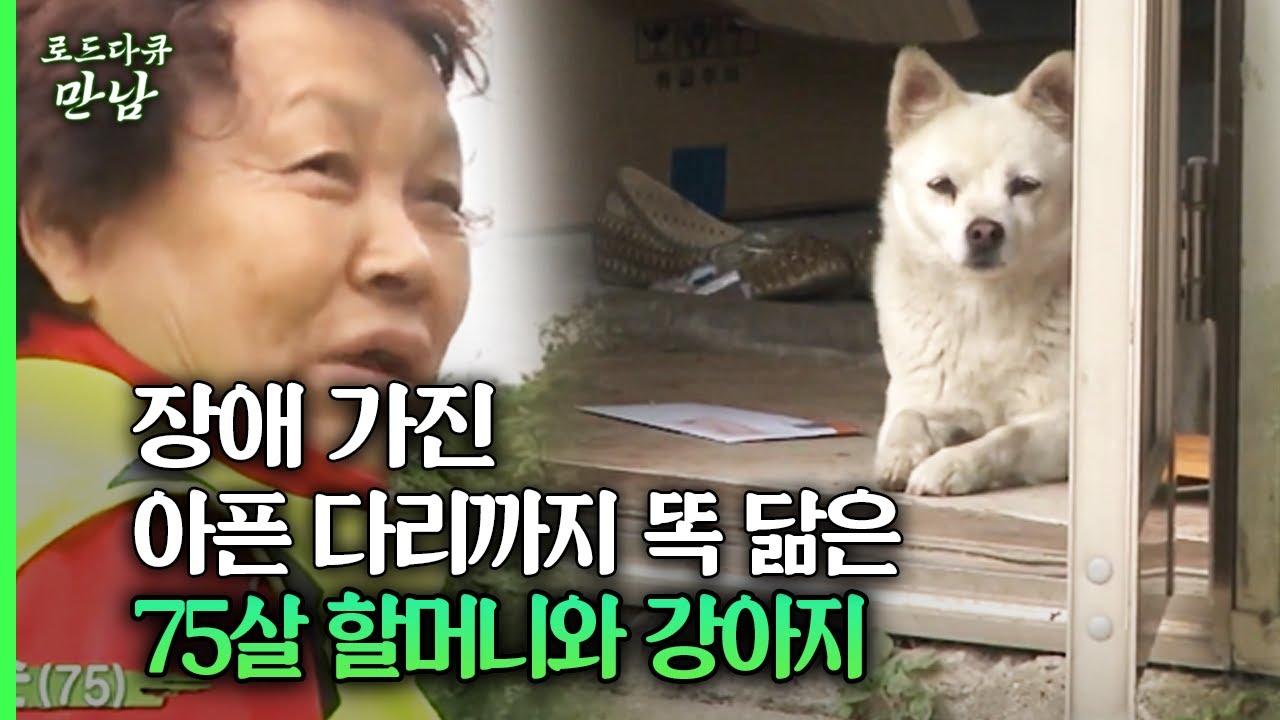[로드다큐 만남 90회①] 장애 가진 아픈 다리까지 똑 닮은 75살 할머니와 강아지