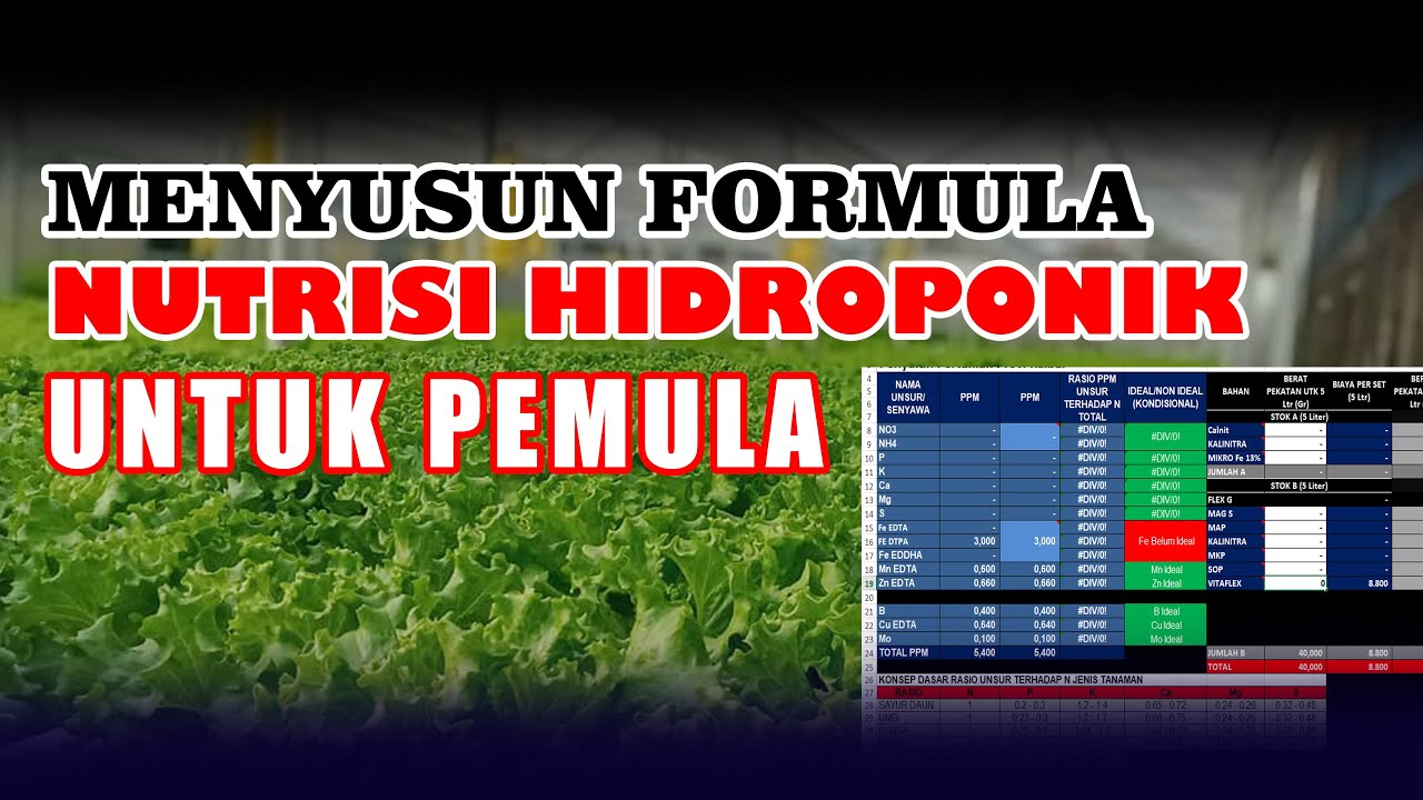 Cara Membuat Nutrisi Hidroponik Untuk Pemula | Ciptakan formulamu sendiri