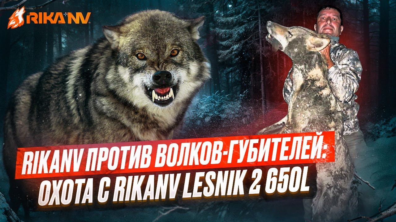 RikaNV против волков-губителей: Охота с RikaNV Lesnik 2 650L.🐺