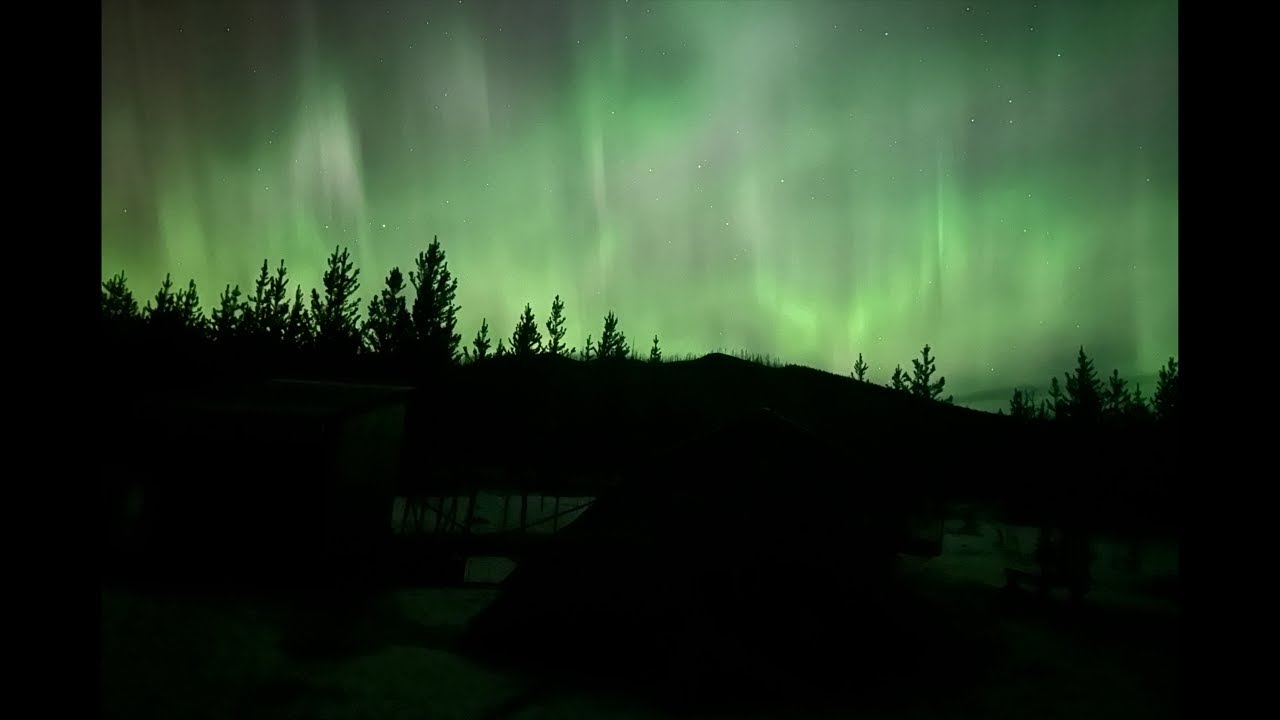 We cannot wait for spring ! - snowed in all winter !