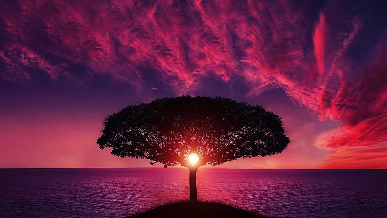 Beautiful Relaxing Music, Sleep Music, Calming Music (By A.Seeberg)