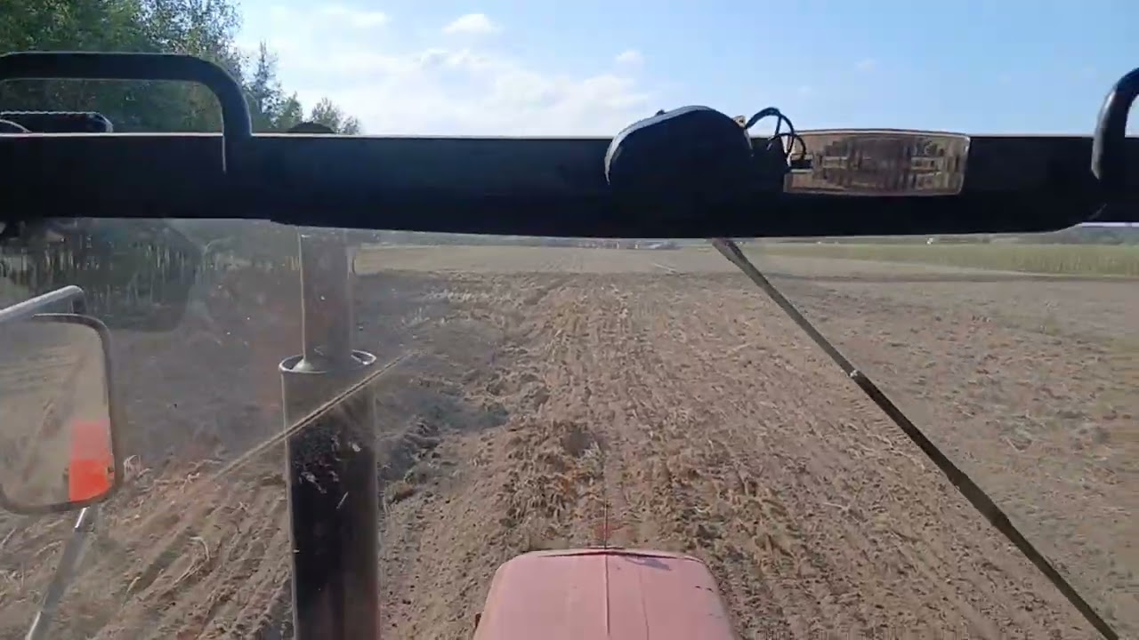 Uprawa ugoru i sianie żyta na poplon 