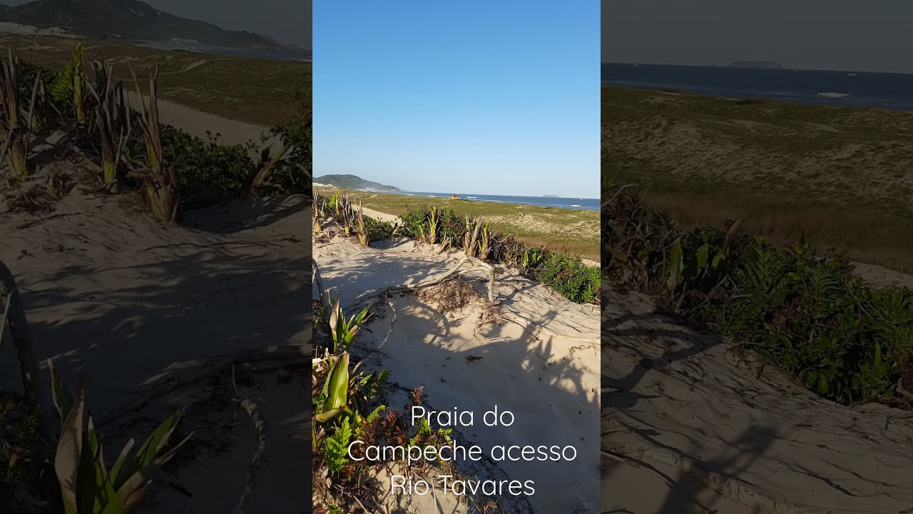 Praia do Campeche acesso Rio Tavares #shorts #Florian&oacute;polis