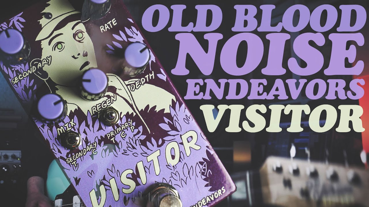 ДЕМОНСТРАЦИИ В ТЕМНОТЕ: OLD BLOOD NOISE ENDEAVORS - ПОСЕТИТЕЛЬ // ДЕМО