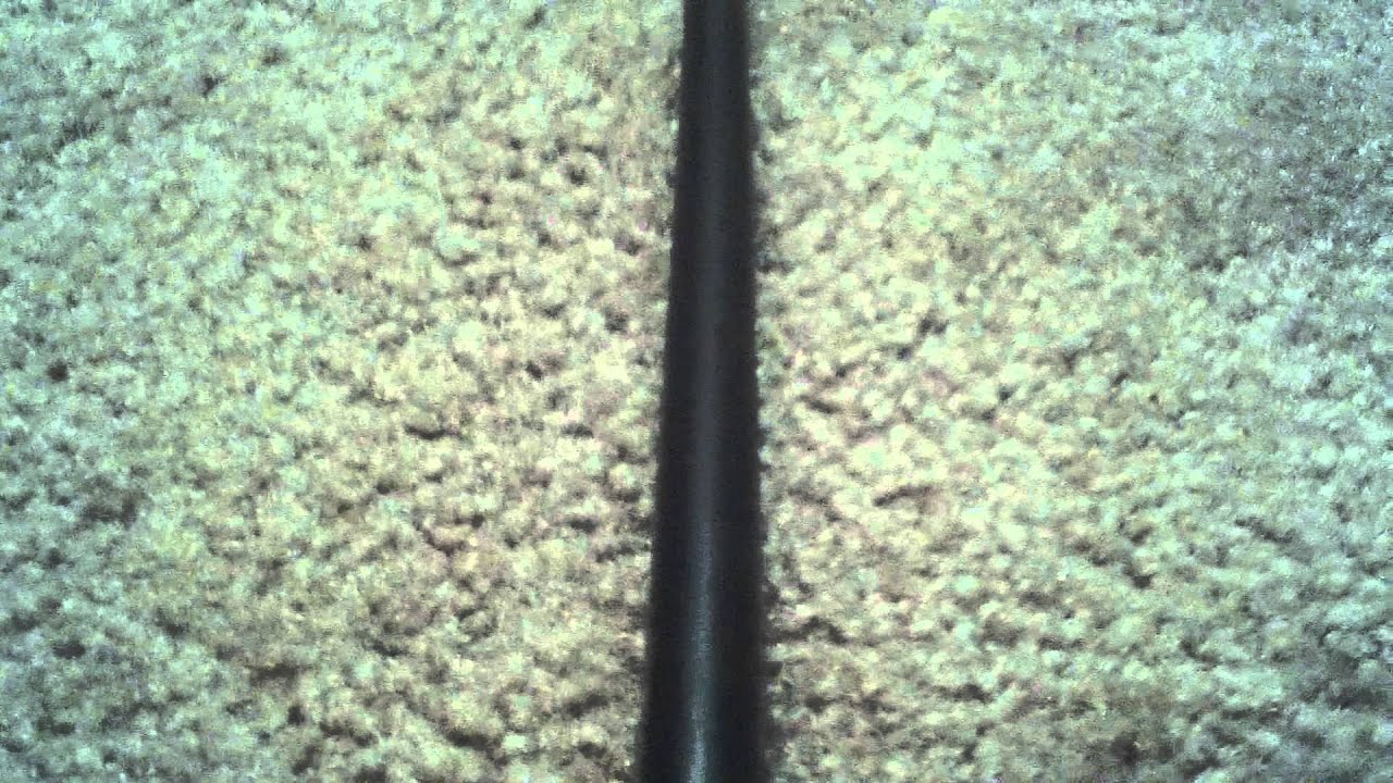 Pros & Cons ep. 43 - Gregory Goyle's Wand