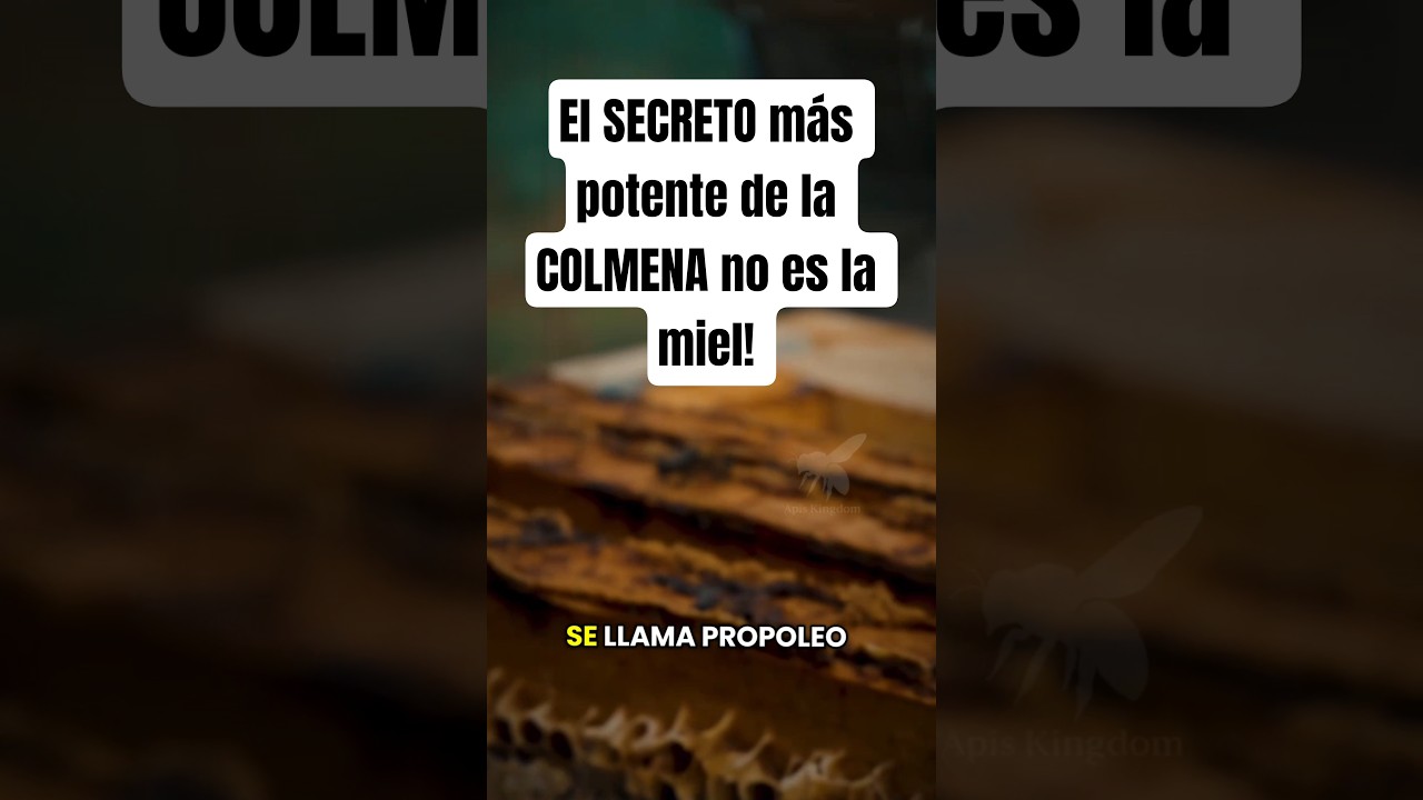 El poder oculto del prop&oacute;leo 🐝 #Apicultura #Prop&oacute;leo #ApisKingdom #Naturaleza