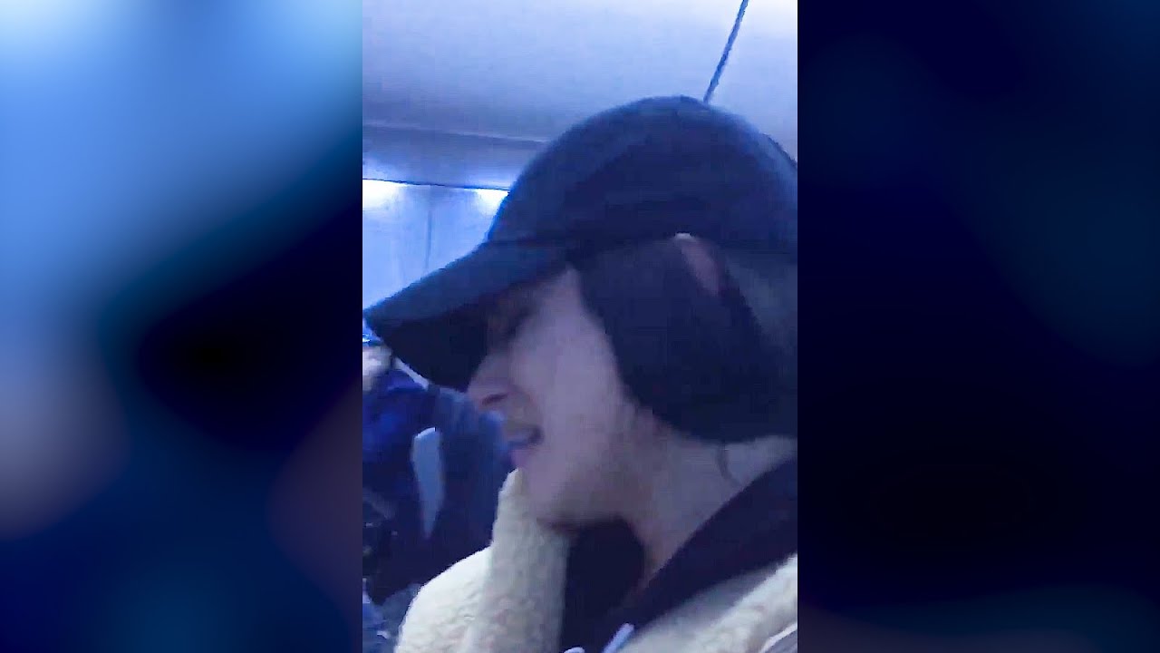 'You're harassing her': Co-passenger yells at American Airlines crew as they kick model off flight