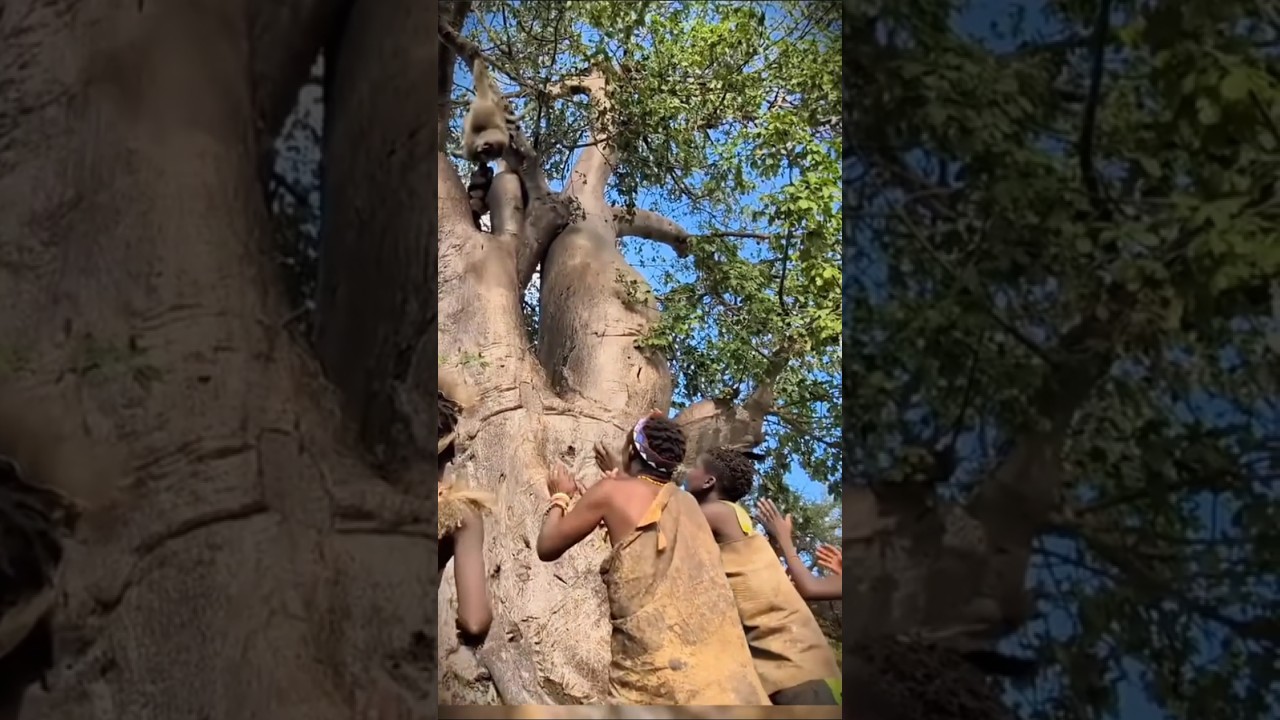I confessed from the tree with a bow.Eu confessei da árvore com uma reverência.मैंने पेड़ से झुककर
