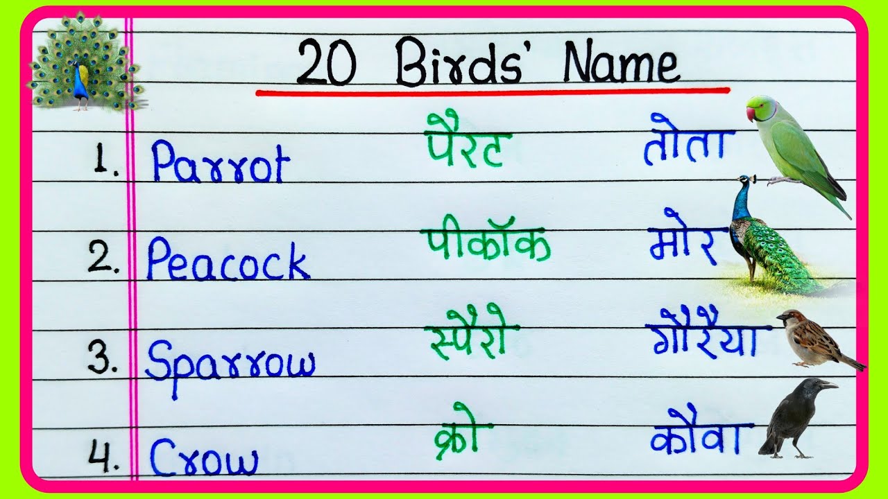 20 Birds Name in English and Hindi | पक्षियों के नाम हिंदी और अंग्रेजी में | Pakshiyon ke naam