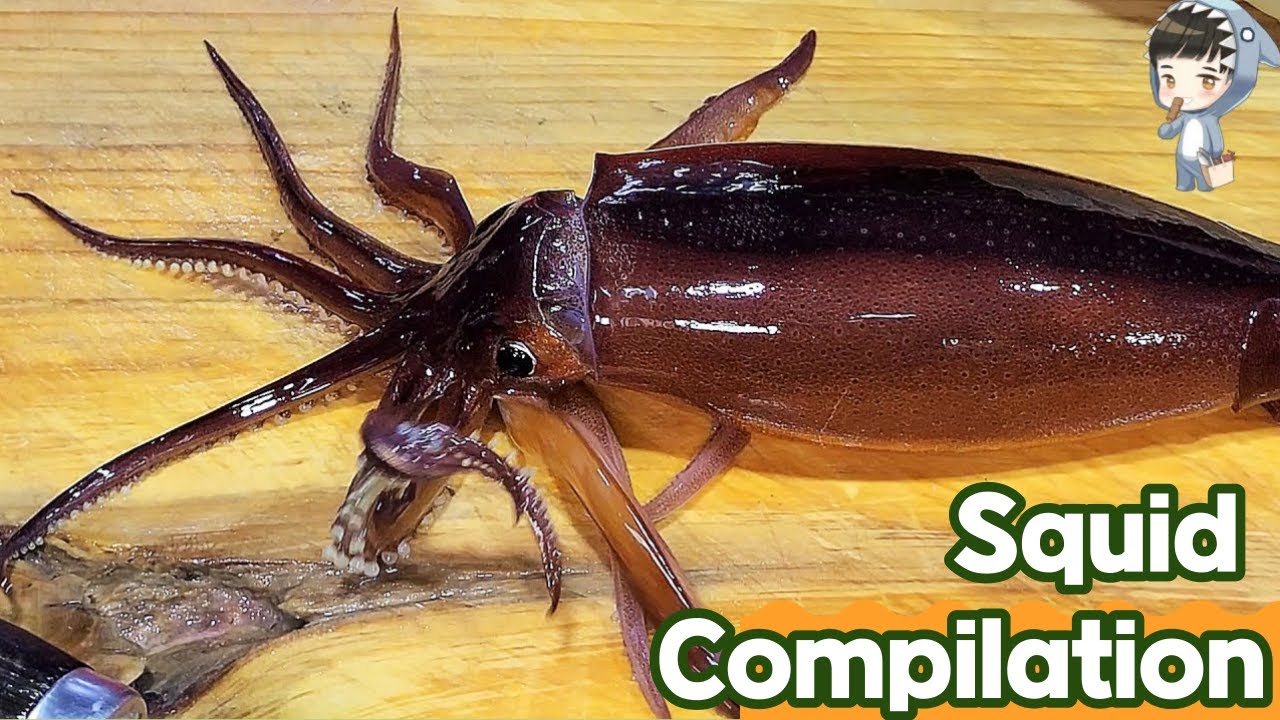 Squid Compilation Korea Street Food SQUID SASHIMI Pohang Korea Seafood 포항 죽도시장 송도활어회센터