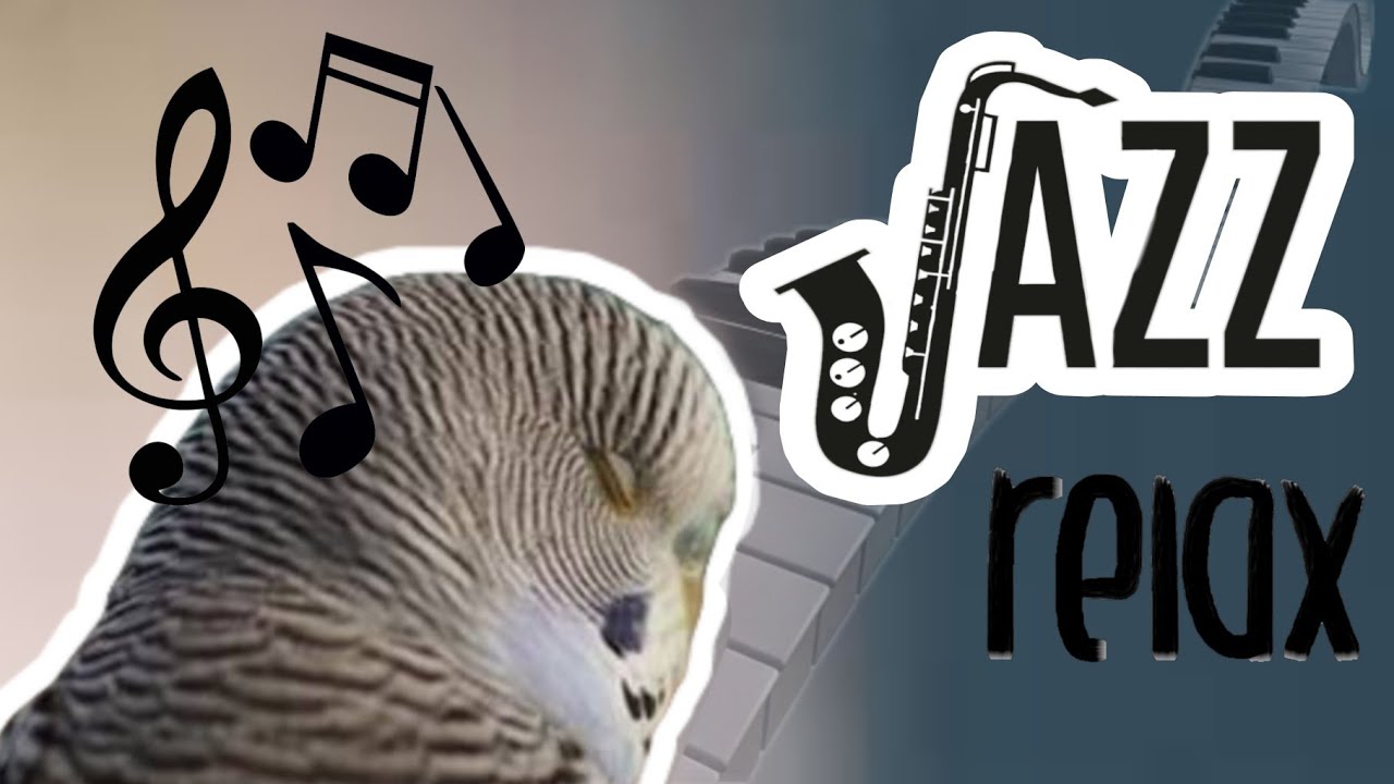 JAZZ DE PERIQUITOS