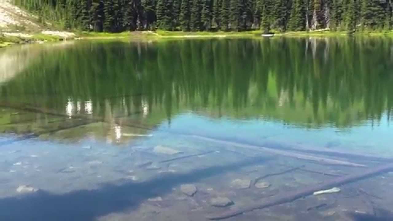 Reports from the field: a limnology experiment