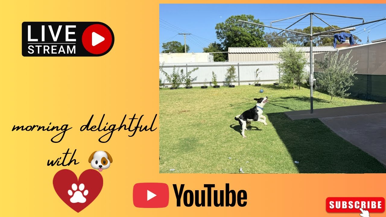 I’m happy Jasper  is live