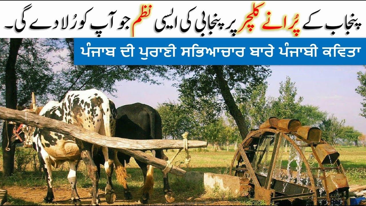 Ye Poem Aap ko Rula De gi || Amazing Poem about Punjab Culture || Langya Wela Haal Je Mera