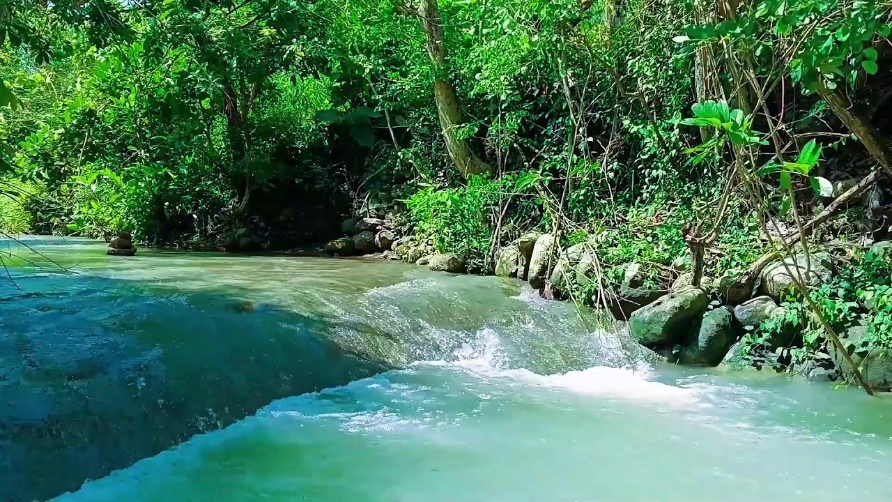 Green Valley Waterfall Gentle Flowing Water for Instant Calm