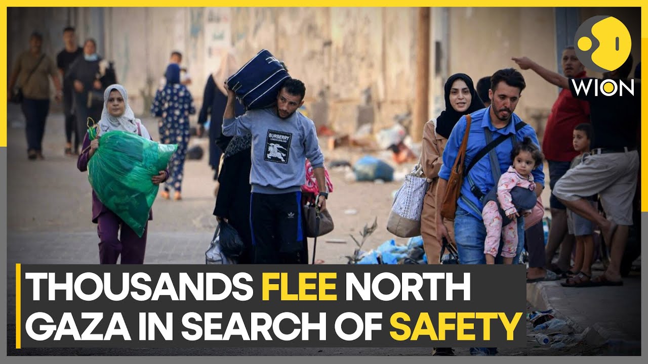 Israel-Palestine war | WHO: 60% killed in Gaza are women and children | WION