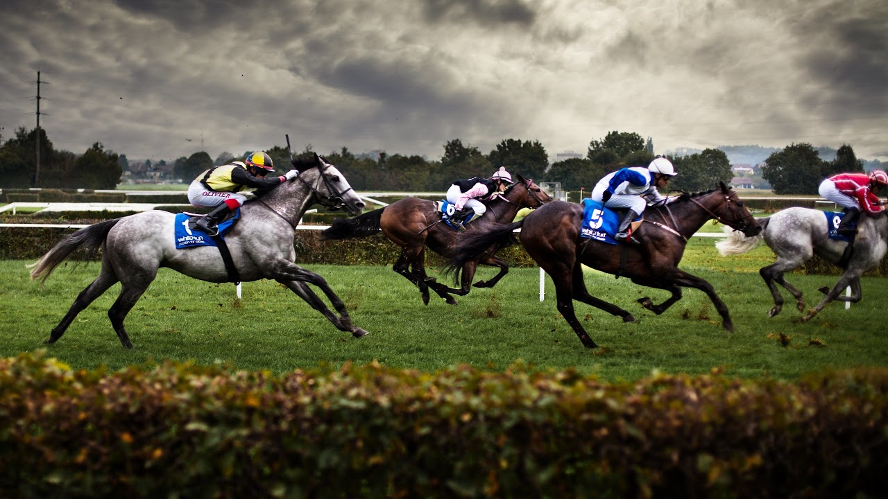 Madras Race Club Live Stream
