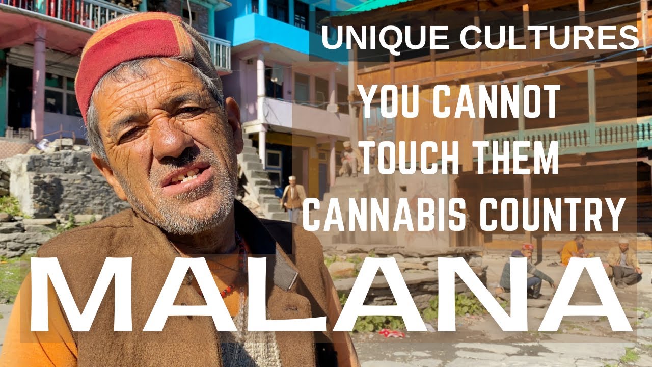 Malana, Cannabis Country… Beyond Indian Laws .. Do not Touch them ?