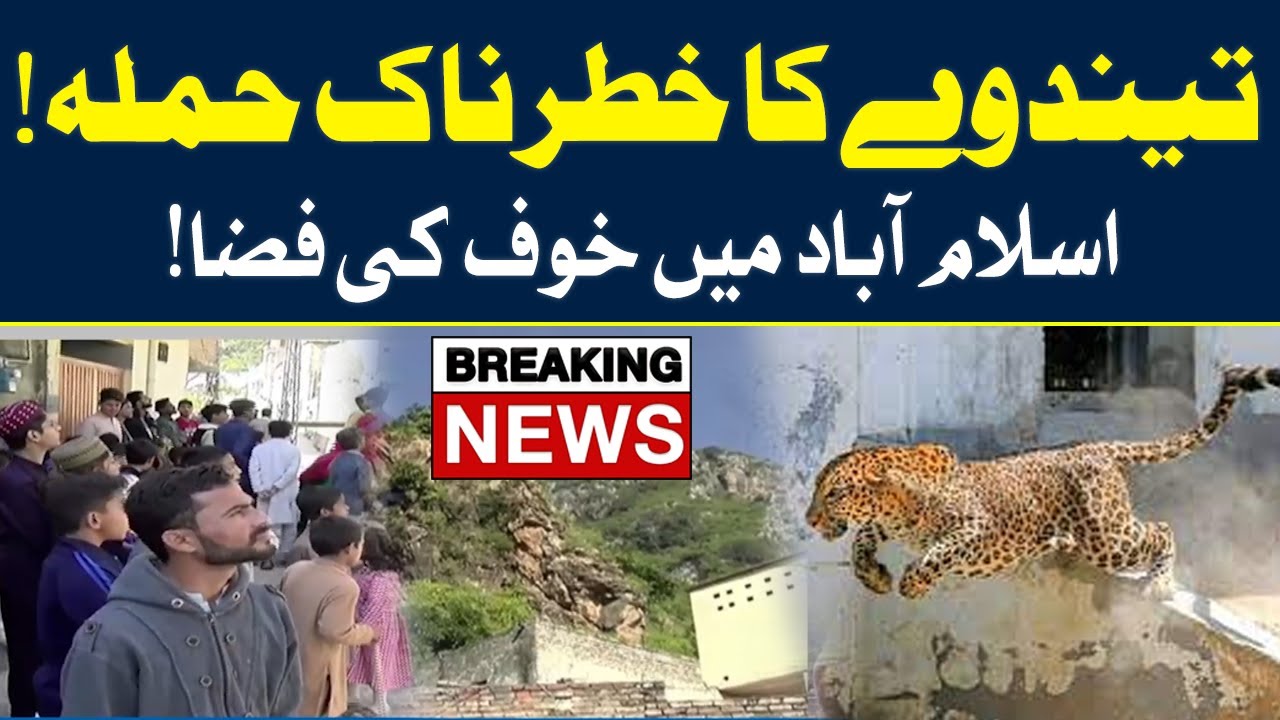 Horrifying Leopard Attack in Islamabad | 18 Nov 2022 | Neo News