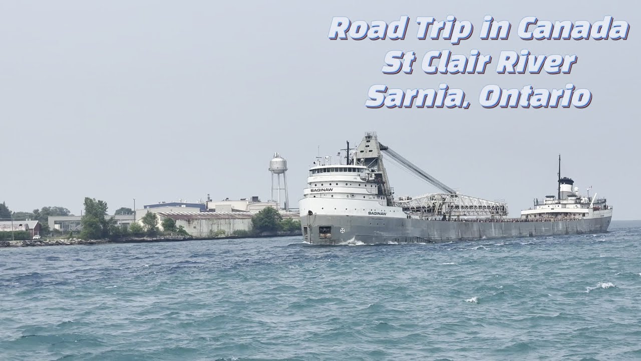 Saint Clair River Sarnia 🚢 🇨🇦 Big Ships & Beautiful River Views #travel #canadatravel