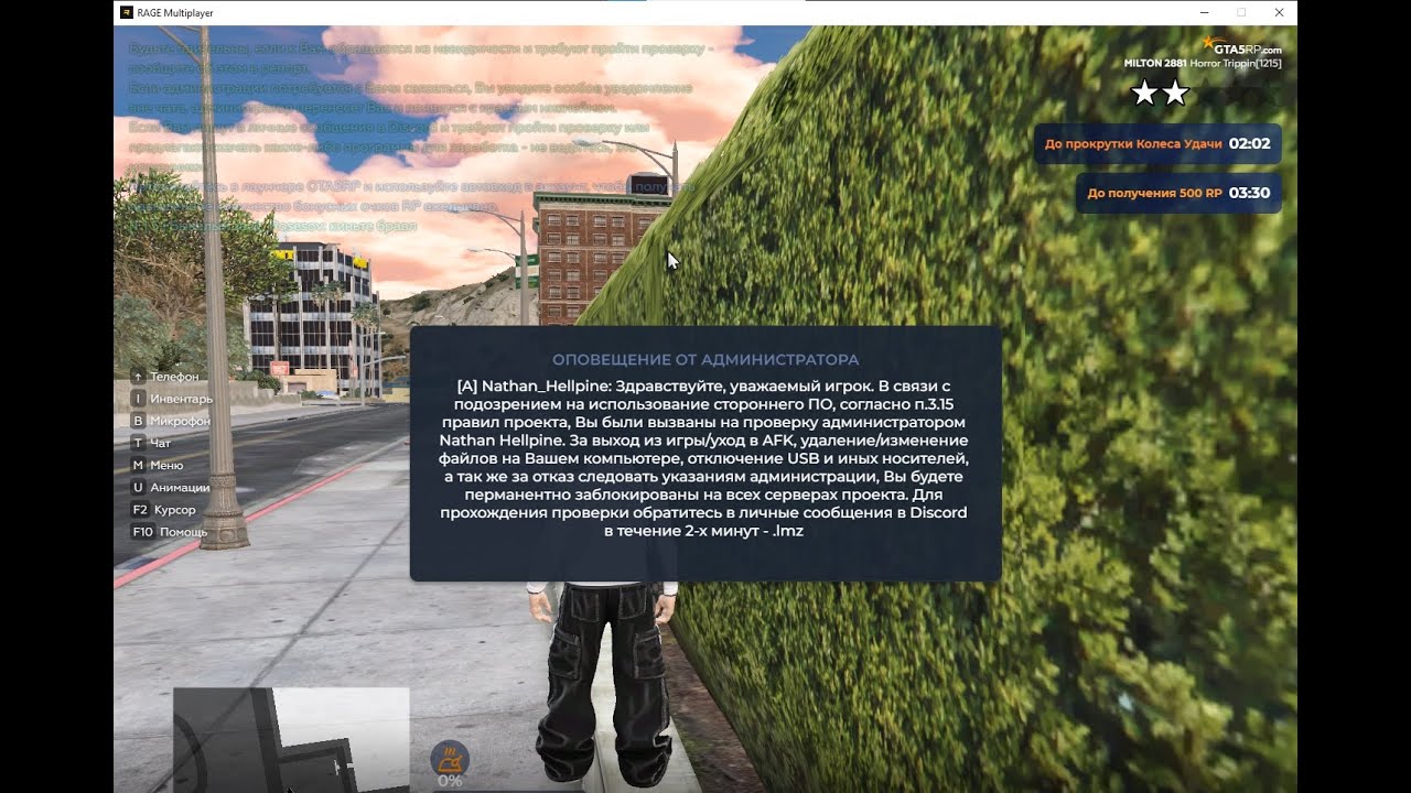 ceo