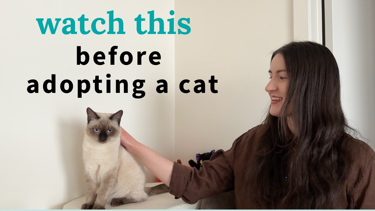 Thinking About Adopting a Cat? Watch This First