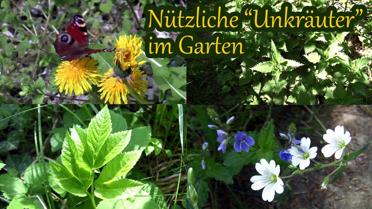 Nützliche 