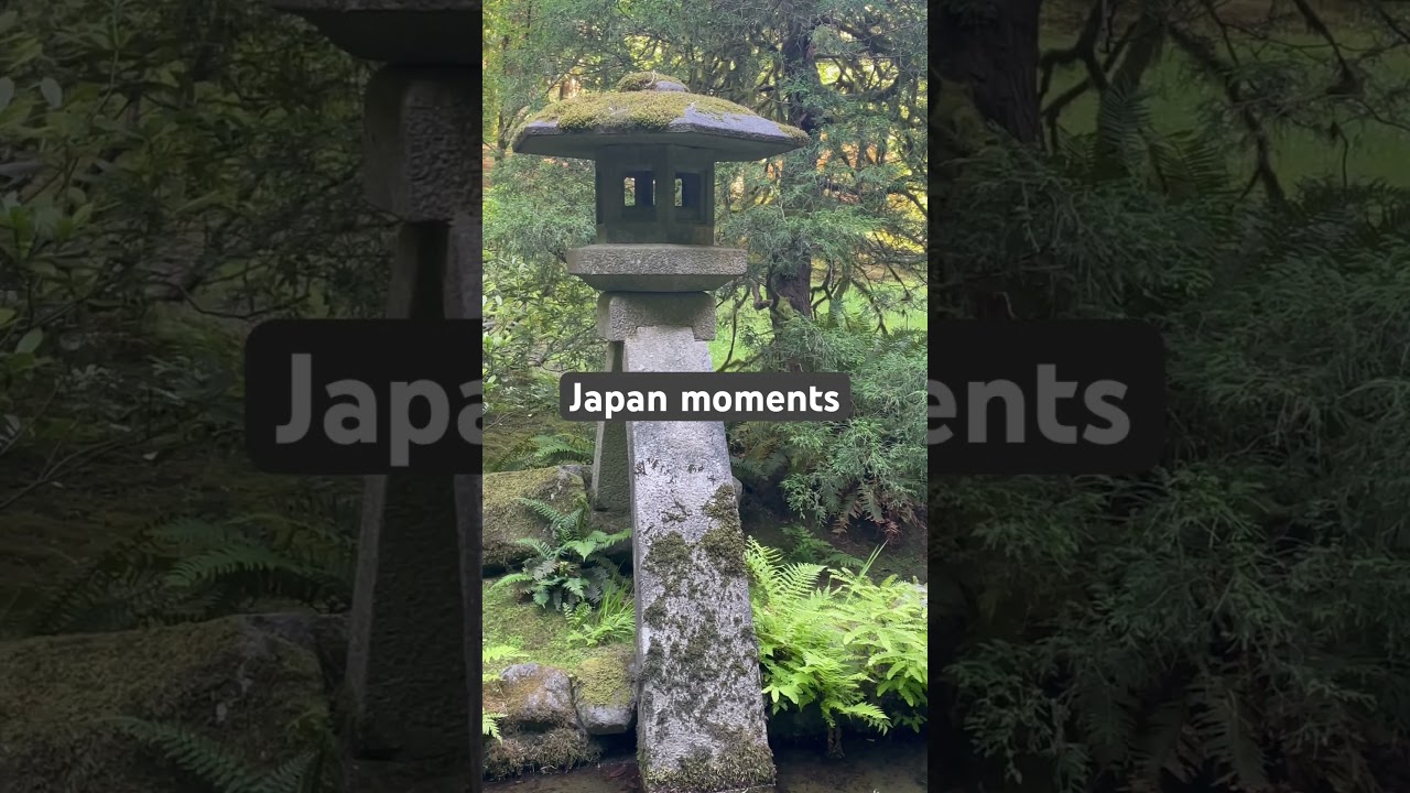 #japanesegarden #japanlifestyle #mindfulness #japanculture