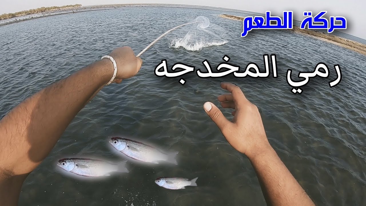 المخدجه العمياء ( الملعفه )