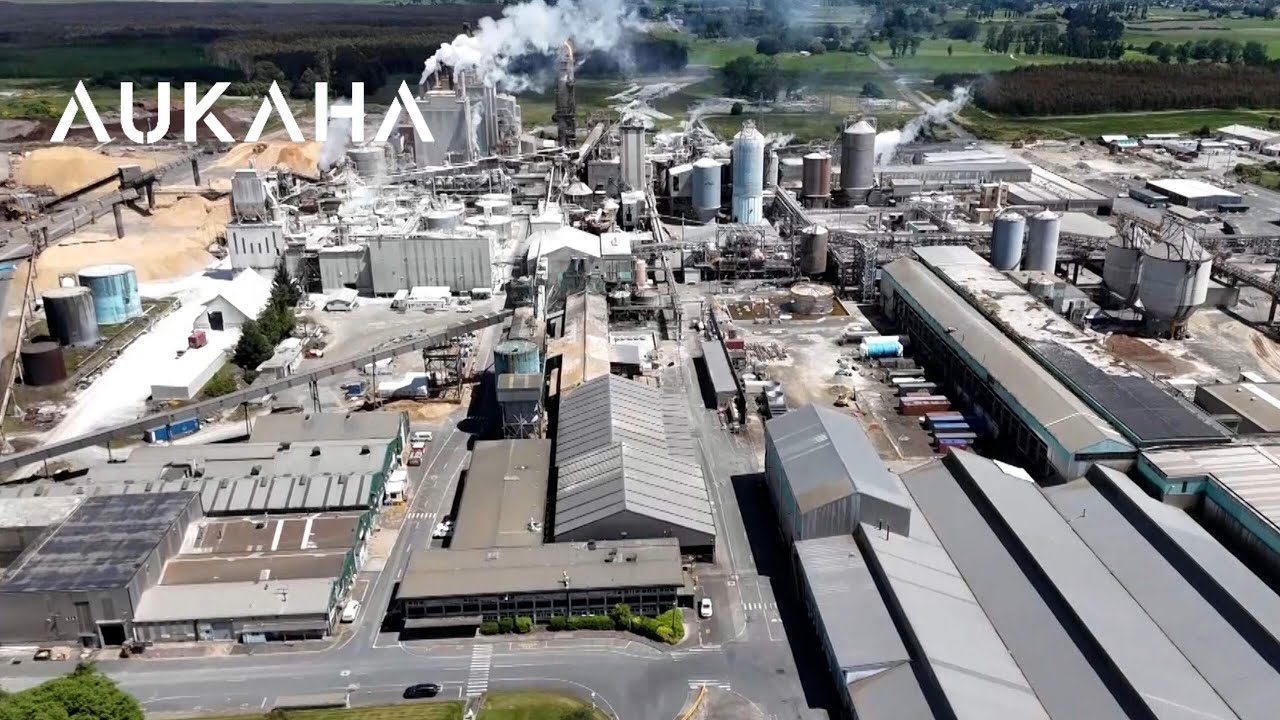 Kinleith Mill job losses to hit Tokoroa whānau hard this Christmas