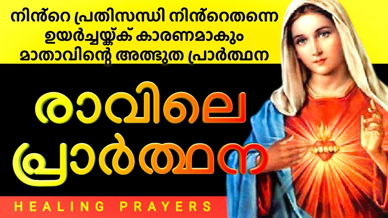പെട്ടെന്ന് ഉത്തരം ലഭിക്കുന്ന പരി.അമ്മയുടെ അത്ഭുത പ്രാർത്ഥന, നിയോഗം വച്ച് ഇത് തുറക്കൂ, അത്ഭുതം ഉറപ്പ്