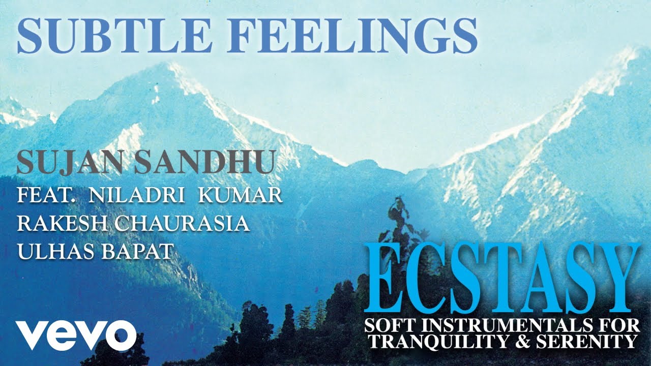 Subtle Feelings - Ecstasy| Sujan Sandhu | Official Song Audio