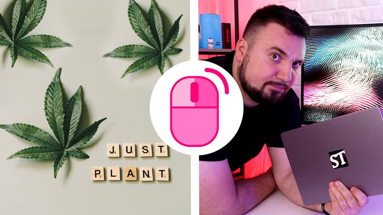 Marihuana treba da bude legalna | Cile ST