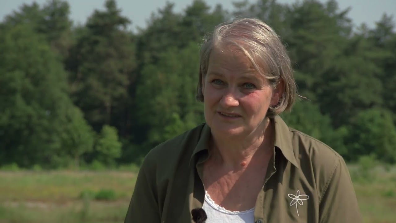 Informatiemedewerkster Carla vertelt over natuurbegraven op natuurbegraafplaats Maashorst